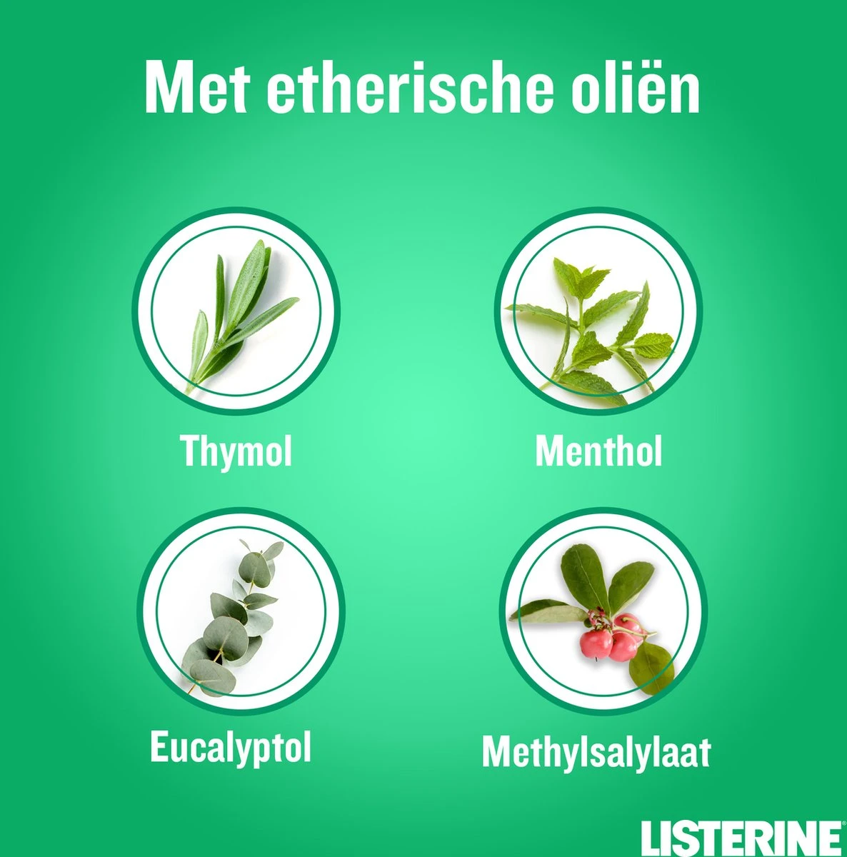 LISTERINE Clean & Fresh, Mondwater Met Essentiële Oliën En Fluoride, Zonder Alcohol, Bereikt De Plaatsen Die De Tandenborstel Mist – Zelfs Tussen De Beugel, 3 X 500 Ml - Afbeelding 6