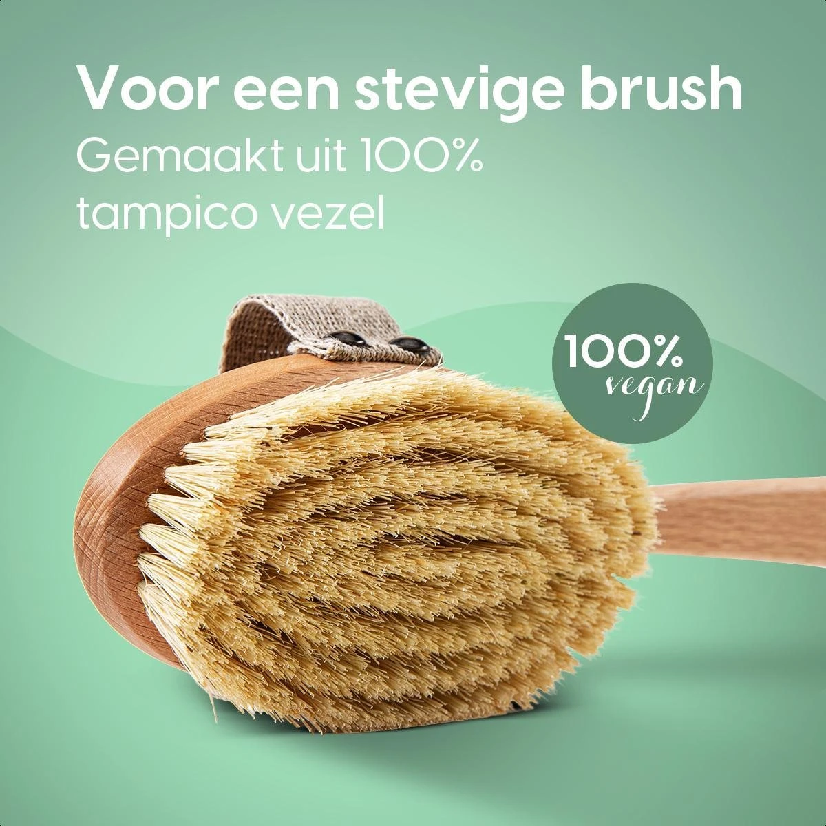 100% Vegan Lichaamsborstel Met Lange Afneembare Steel - Rugborstel/Badborstel/Doucheborstel - Dry Brushing Huidborstel - Droogborstel - Douche - Afbeelding 3