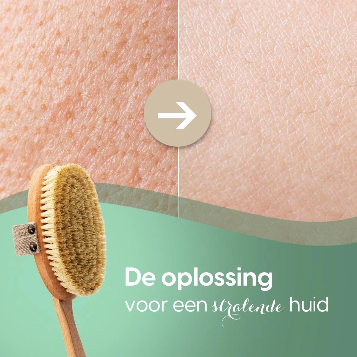 100% Vegan Lichaamsborstel Met Lange Afneembare Steel - Rugborstel/Badborstel/Doucheborstel - Dry Brushing Huidborstel - Droogborstel - Douche - Afbeelding 5