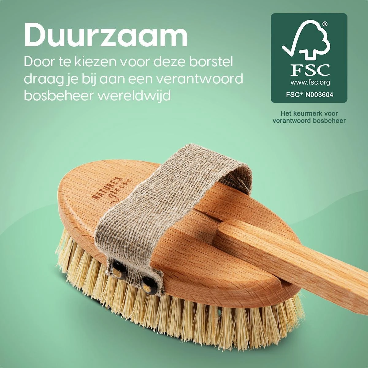 100% Vegan Lichaamsborstel Met Lange Afneembare Steel - Rugborstel/Badborstel/Doucheborstel - Dry Brushing Huidborstel - Droogborstel - Douche - Afbeelding 7