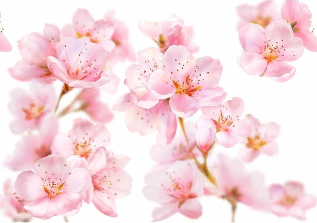 Kneipp Soft Skin - Douchegel - Afbeelding 4